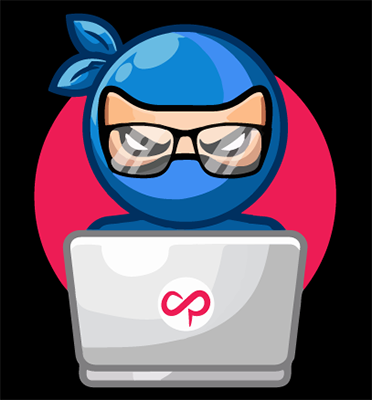 NinjaWallet logo